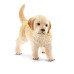 Schleich Cachorro Golden Retriever 17061 – Figura Realista 4,6 cm